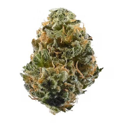 Photograph of product: Dogtown - NSM - 3.55g