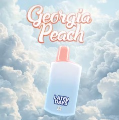 Photograph of product: Georgia Peach 0.84g -Disposable
