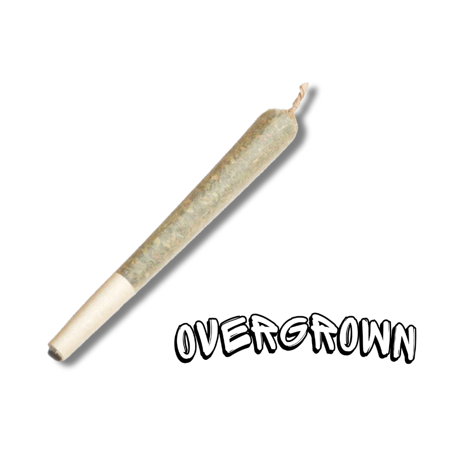 Photograph of product: Overgrown Superboof x Crunchy Berry Pre-Roll
