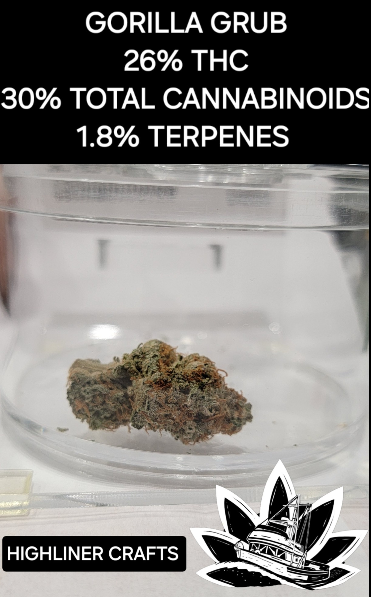 Photograph of product: Gorilla Grub Bud - 7g