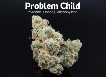 Photograph of product: Problem Child 14.15g