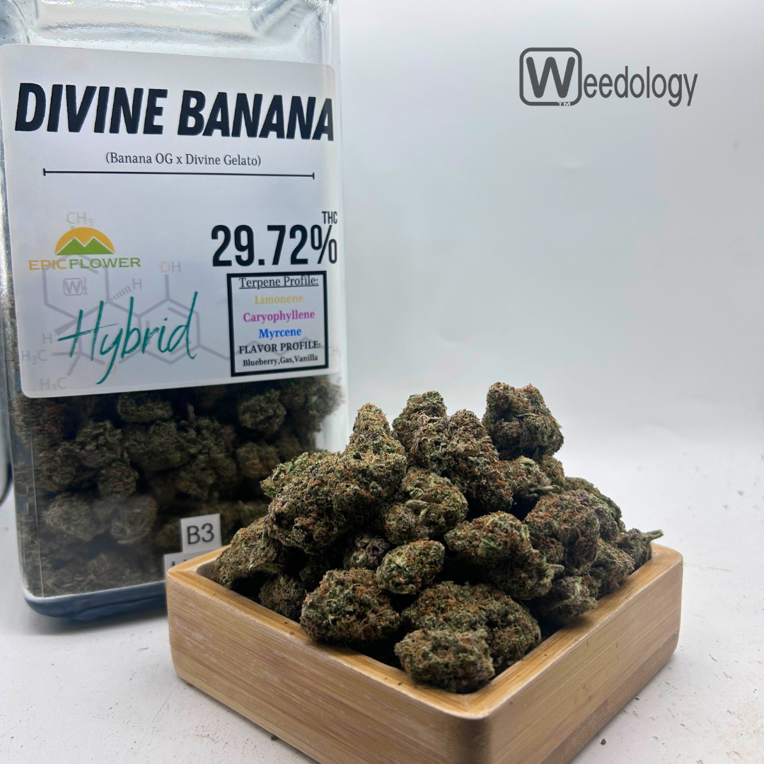 Photograph of product: Divine Banana.. (H) - 28g
