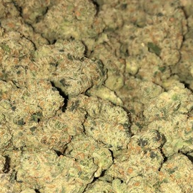 Photograph of product: Dirty Sprite (PDX Organix)