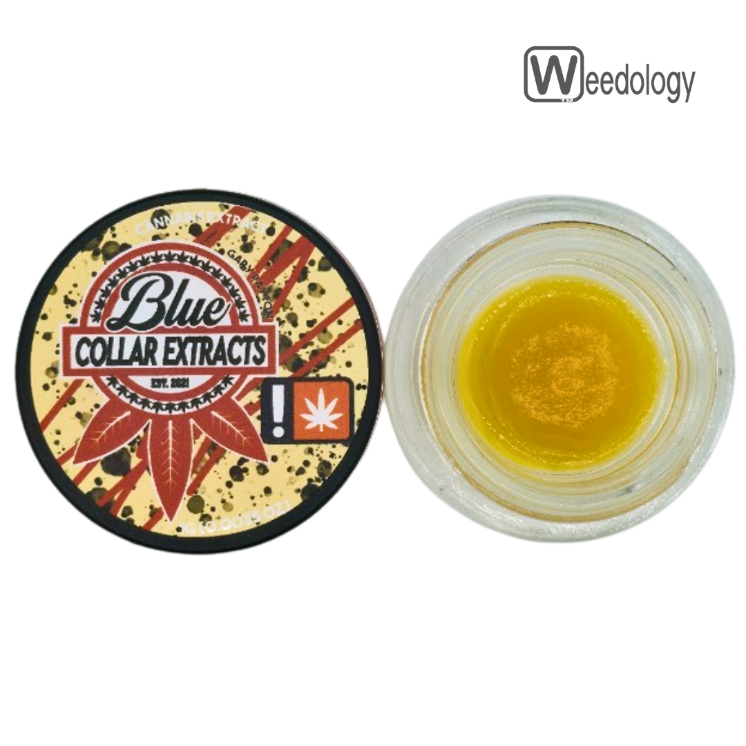 Photograph of product: Blue Collar 1g GARY PAYTON CR Sugar
