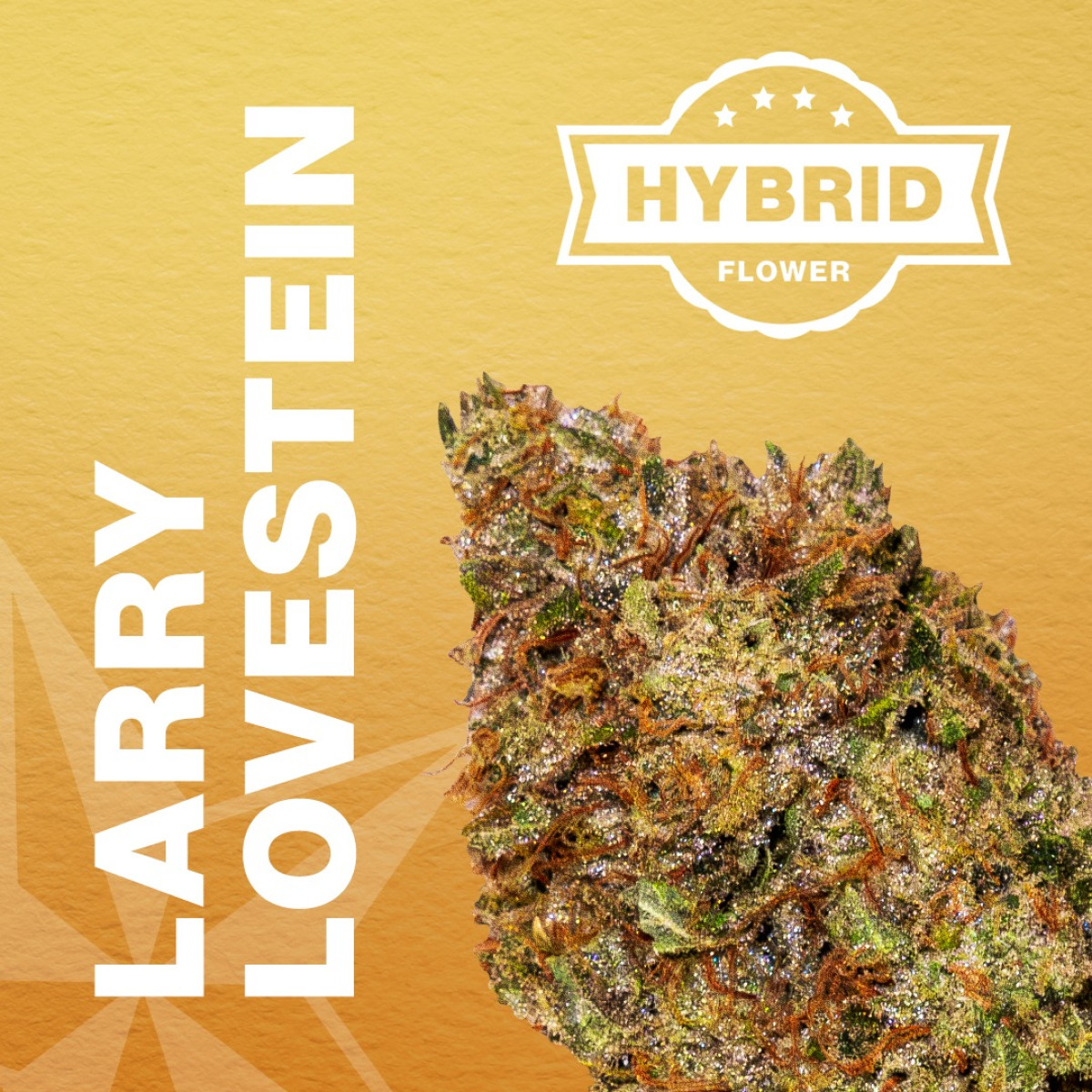 Photograph of product: Premium - Larry Lovestein #1 - Hybrid [1/8oz] (Green Meadows) - 3.5g