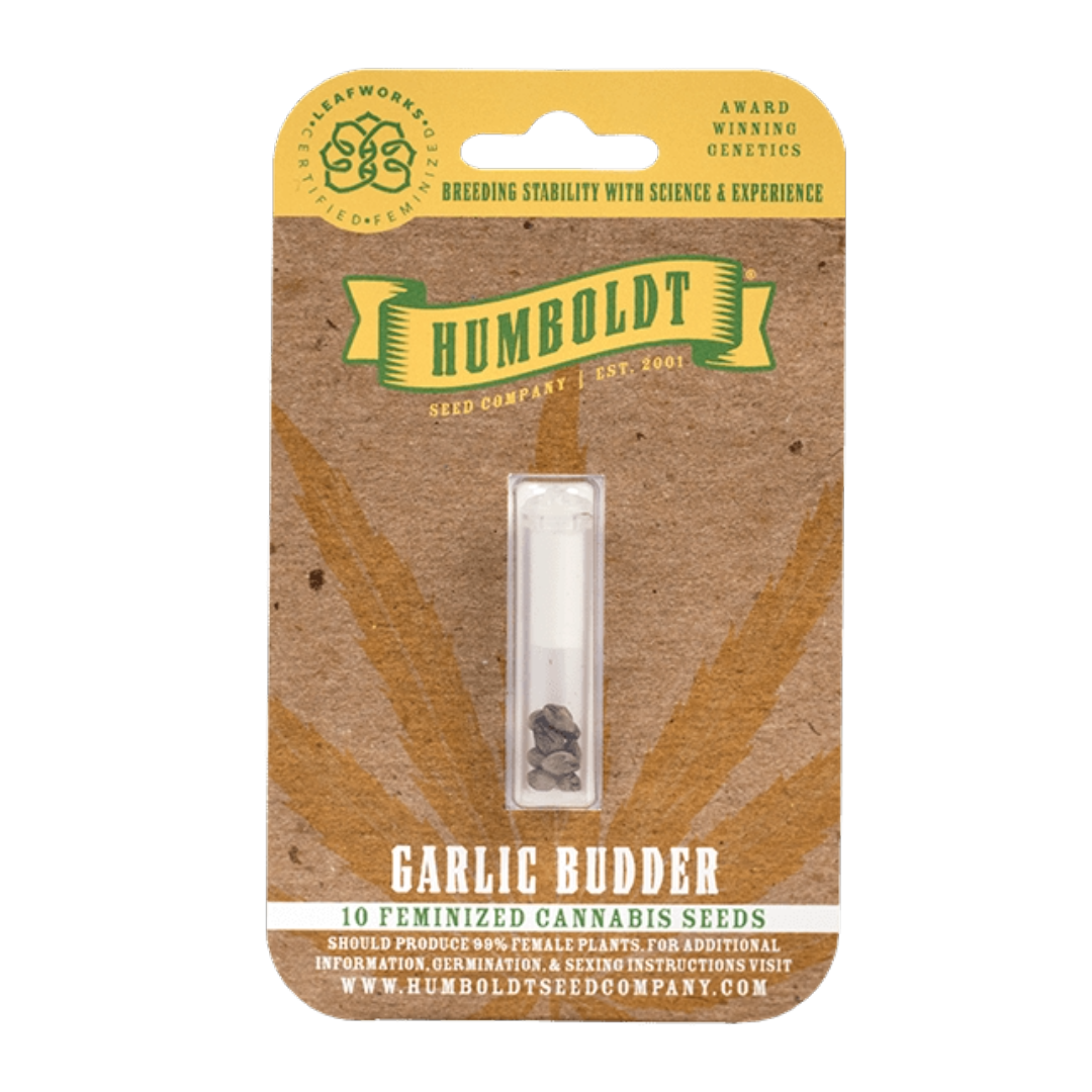 Photograph of product: HUMBOLDT SEED COMPANY - GARLIC BUDDER FEMINIZED SEEDS 10 PACK