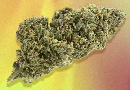 Photograph of product: Butterwolf - Organic - 3.5g flower