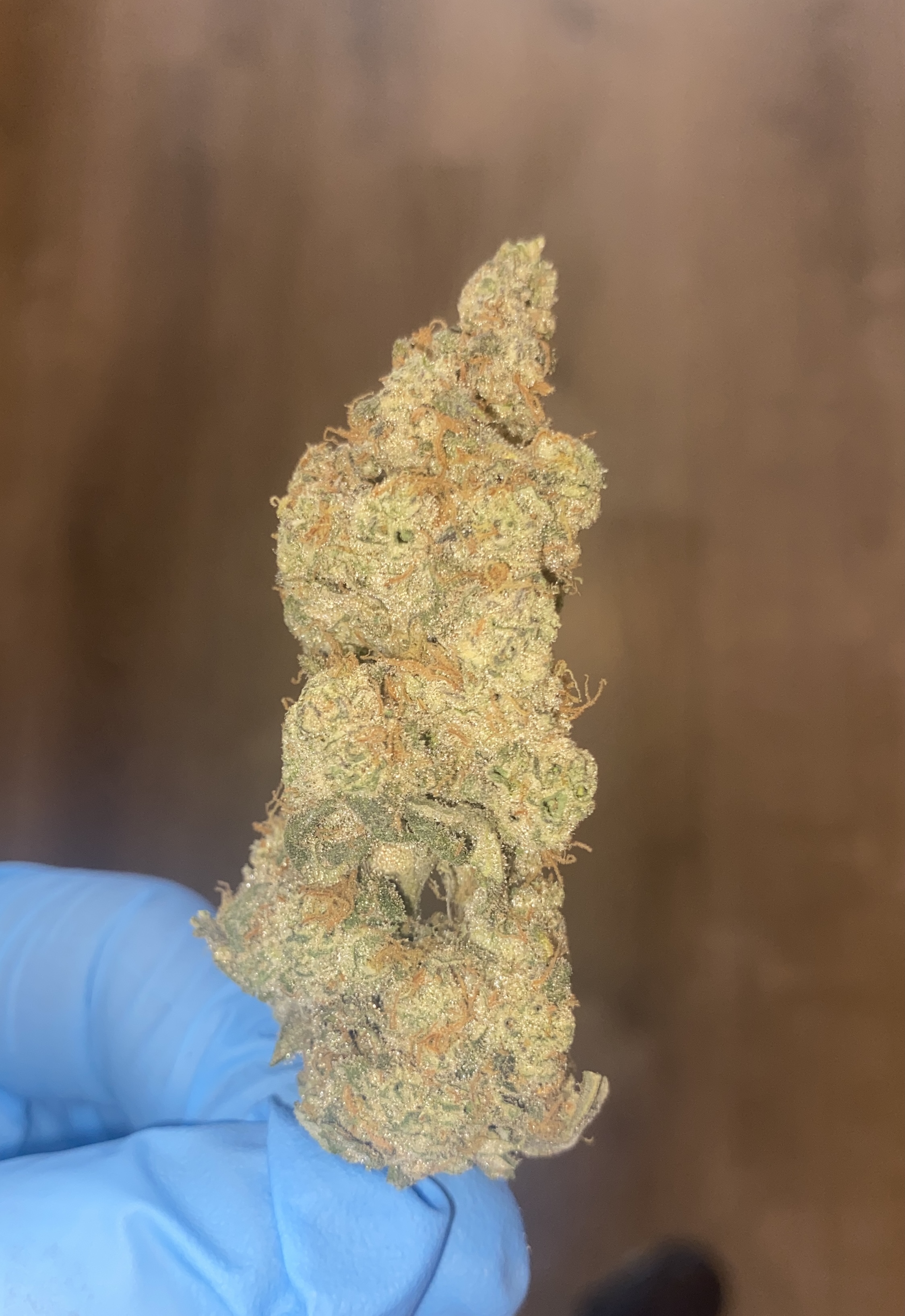 Photograph of product: Grape Gas | Premium Flower - 28g