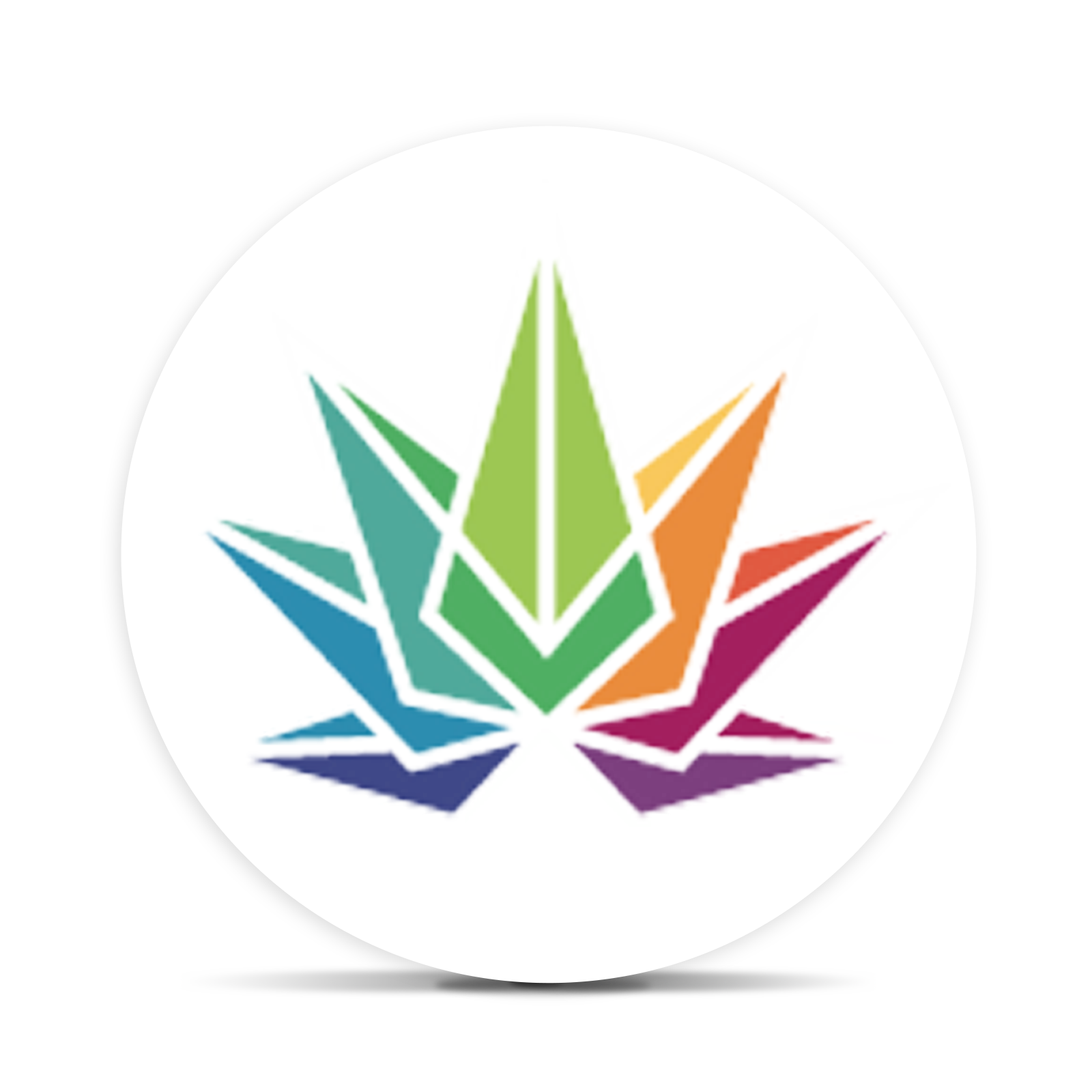 Logo for Brand High Falls Canna