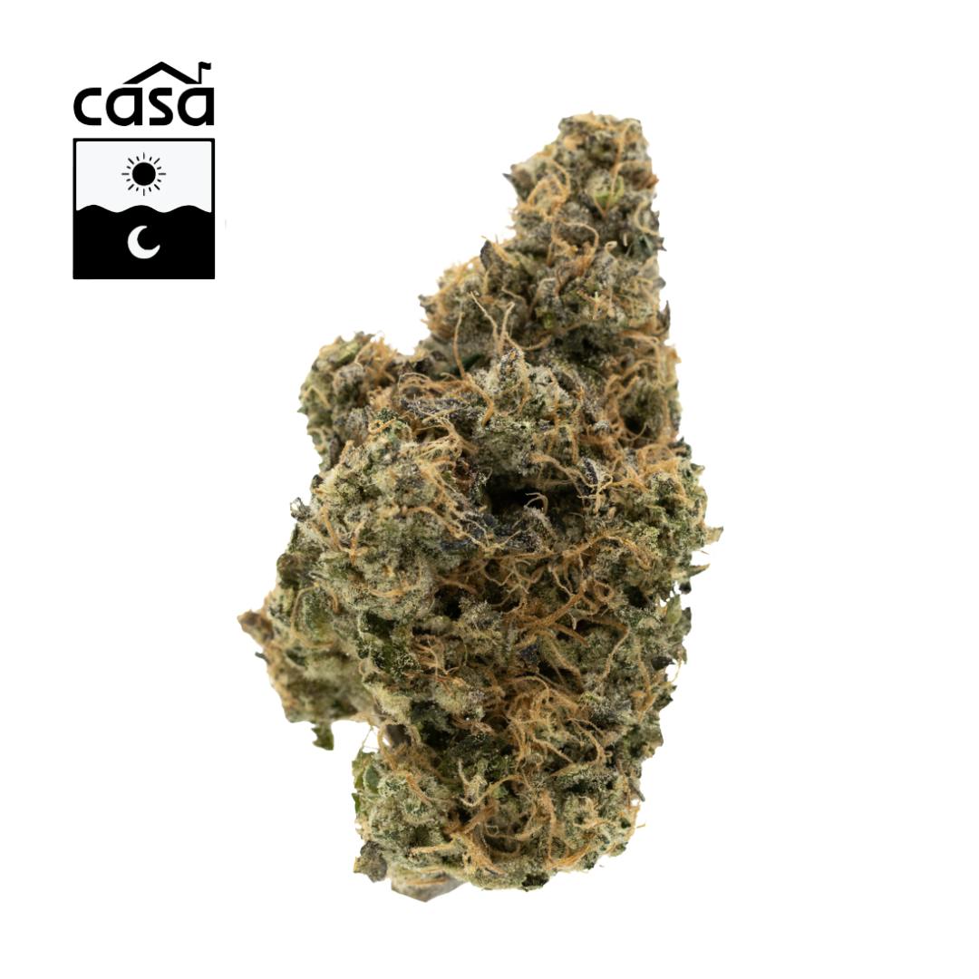 Photograph of product: Black Maple | Flower | 3.5g
