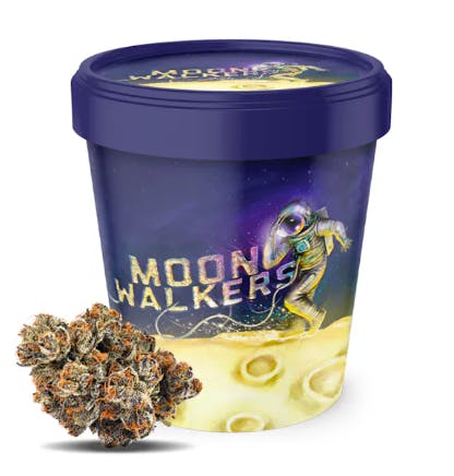 Photograph of Product: MOONWALKERS