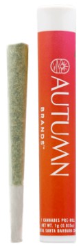 Photograph of product: Funky Flower Child [H] - Preroll