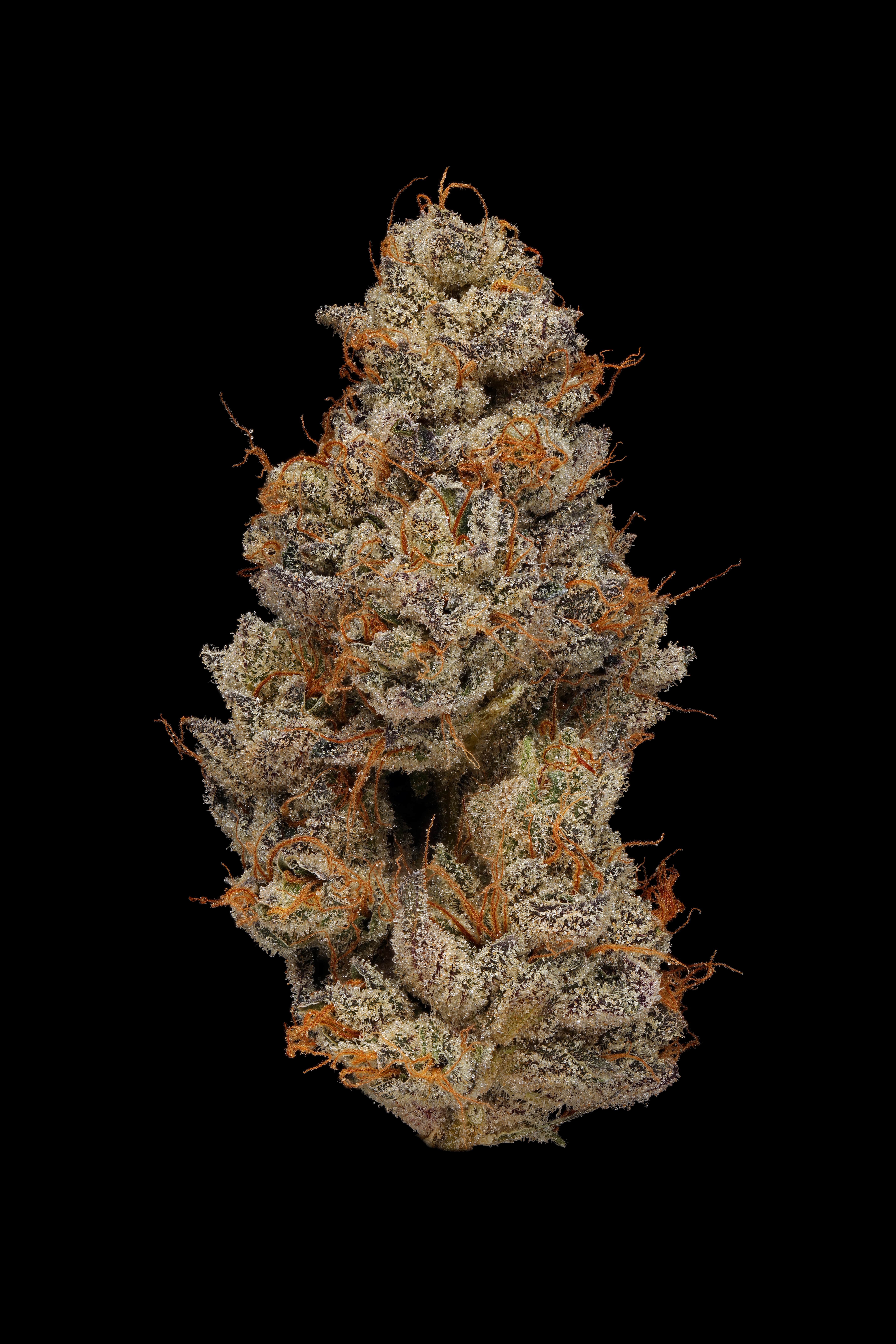 Photograph of product: Small Bud | Fig Bar - 7g