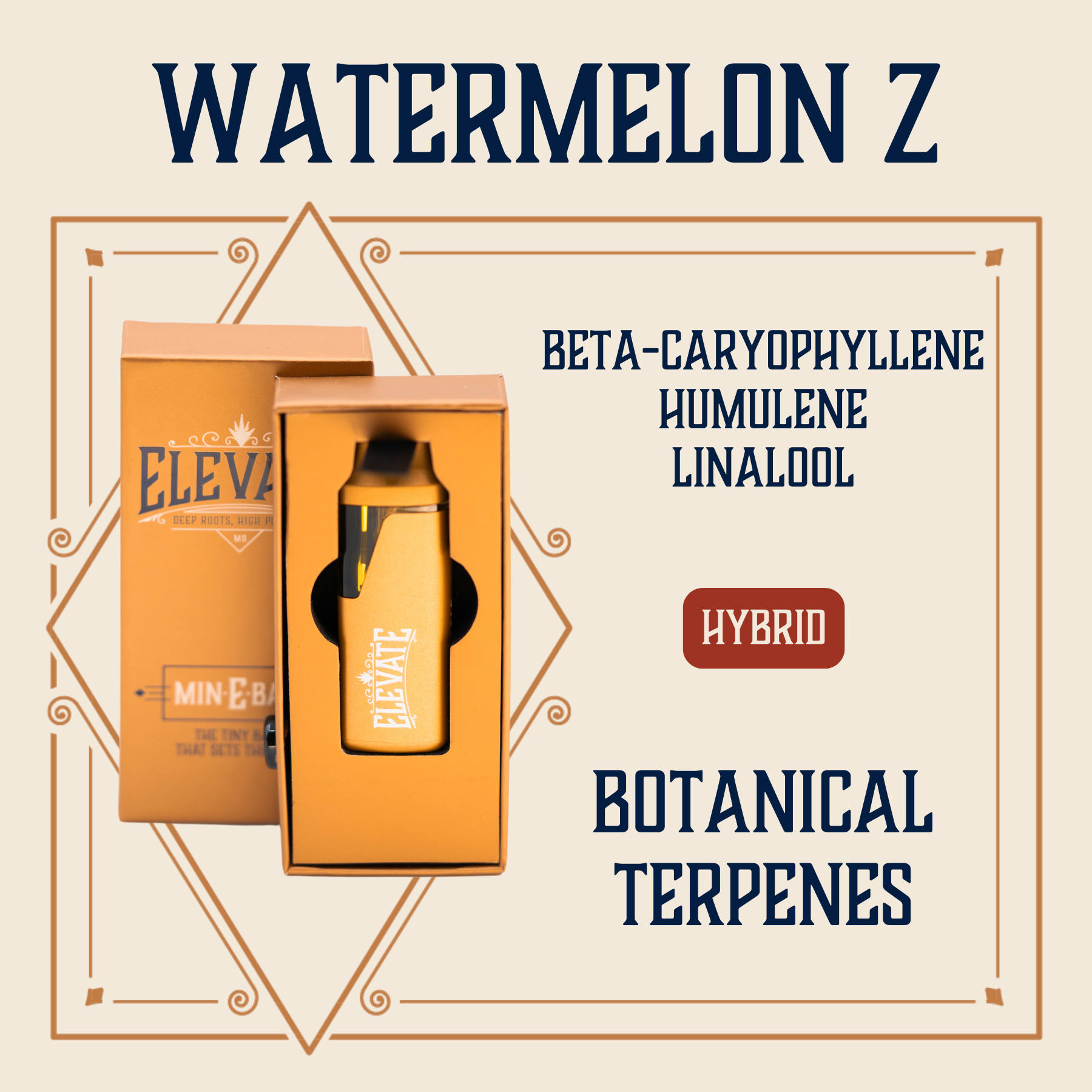 Photograph of product: Elevate | Disposable Vape | Watermelon Z 1g