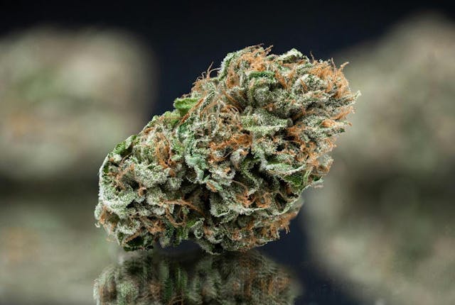 Photograph of product: Mega Black Cherry | 3.5g