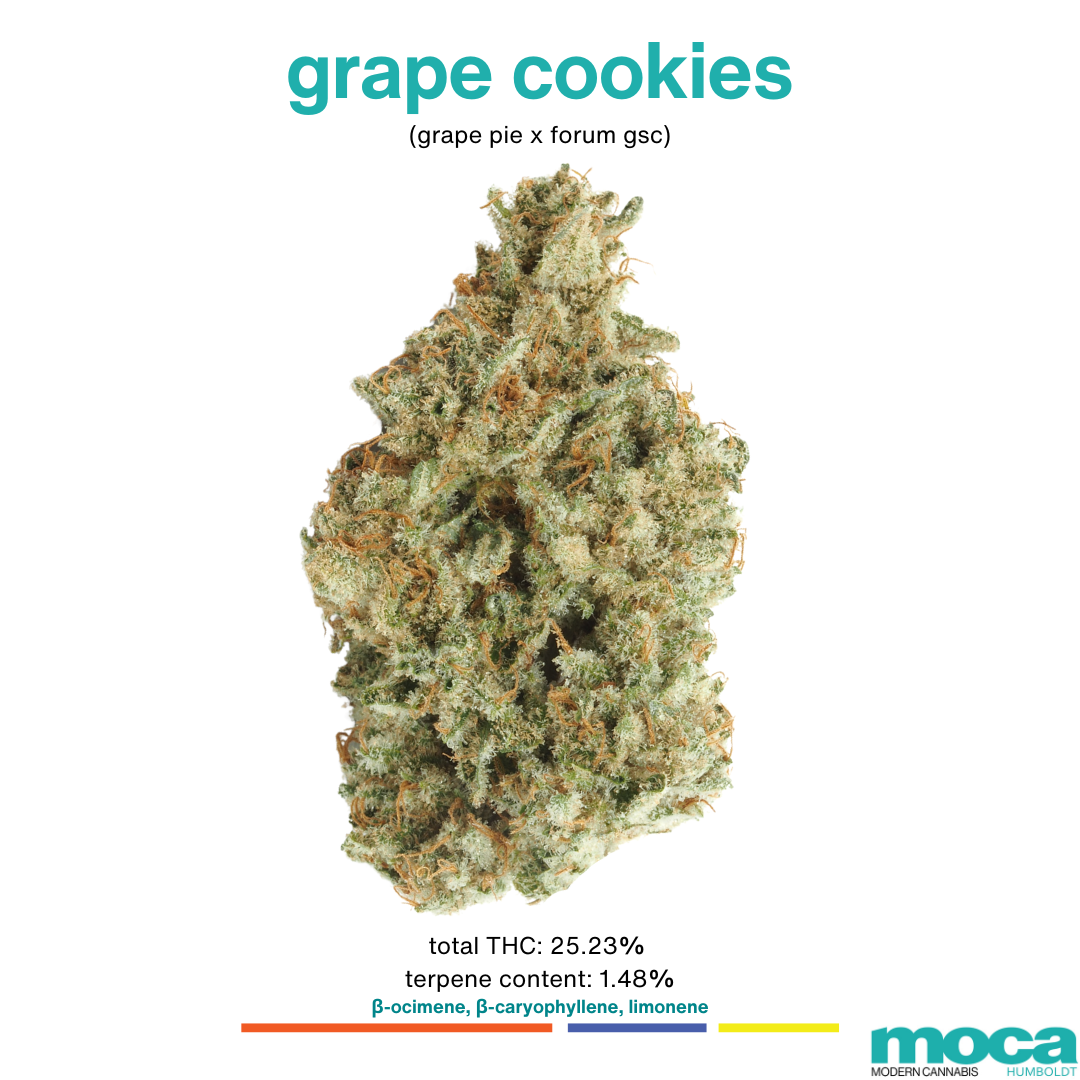 Photograph of product: MOCA | Grape Cookies - 3.5g