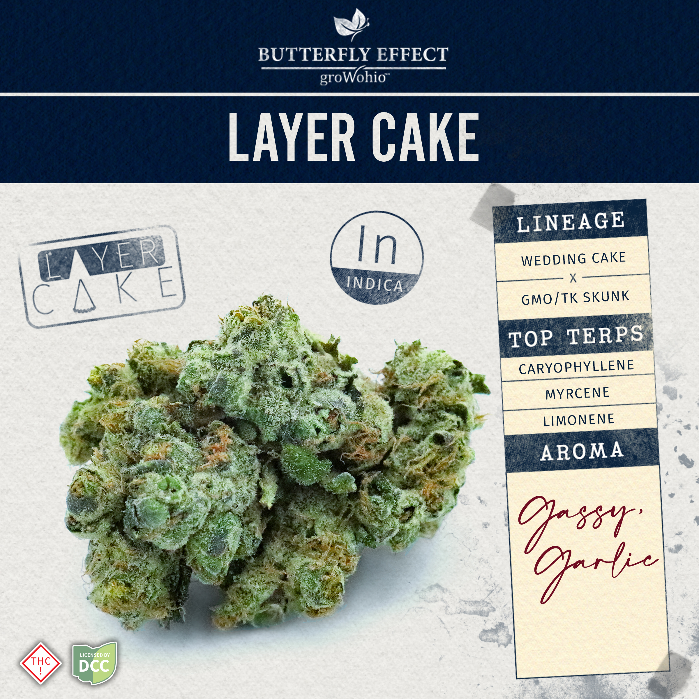 Photograph of product: Layer Cake | 14.15g