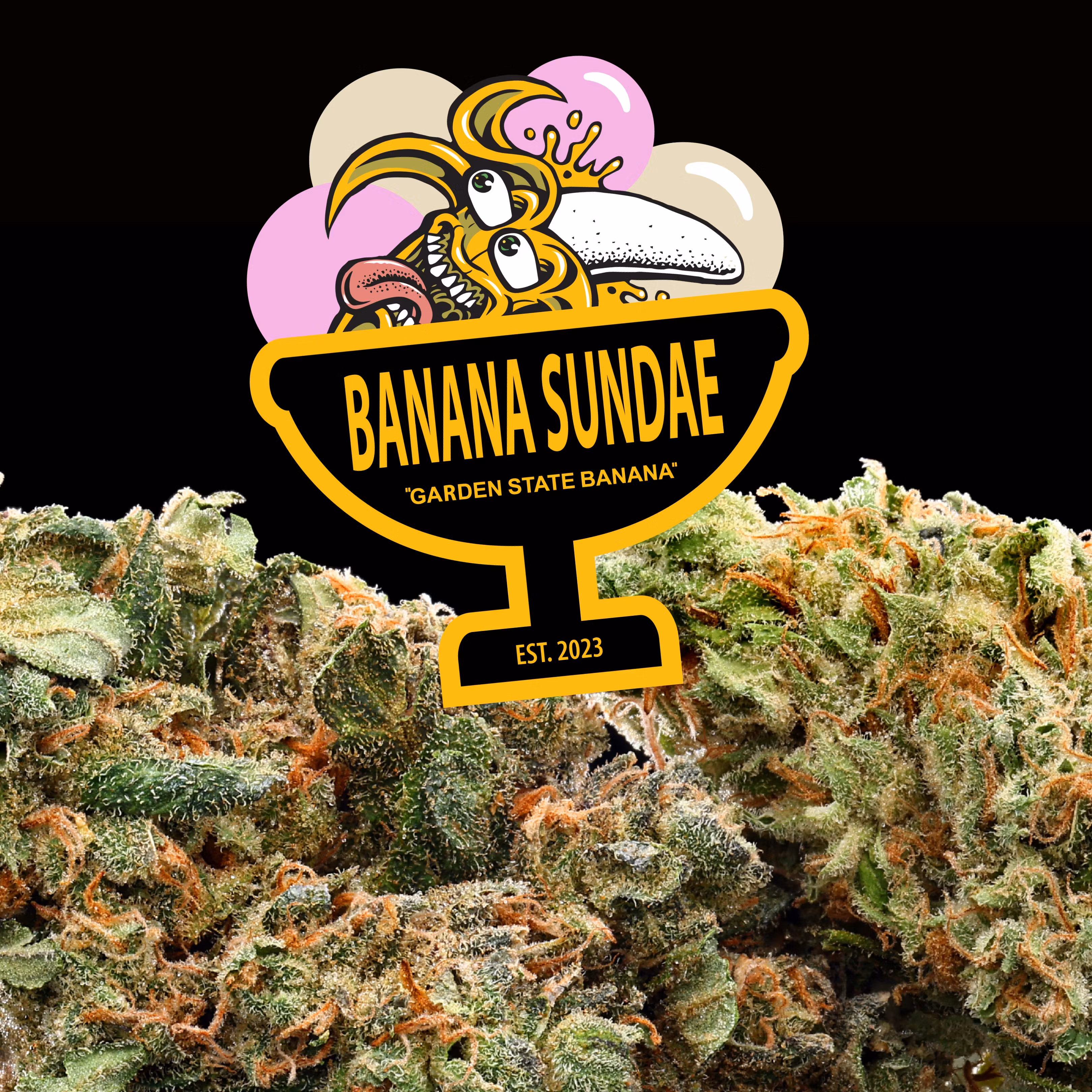Photograph of product: Garden State Banana | Banana Sundae | 3.5g