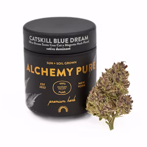 Photograph of product: Alchemy Pure Hand Trimmed Flower | 3.5g | Catskill Blue Dream