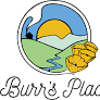 Photograph of product: Burr's Place |Splash (H) | 3.5g Sungrown Flower