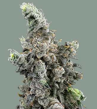 Photograph of product: Vanilla Zoap - 3.5g