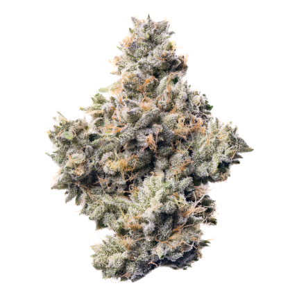 Photograph of product: Fig Farms - Flower - Z Type-S - 3.5G