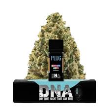Photograph of product: PLUGPlay Pod Northern Lights