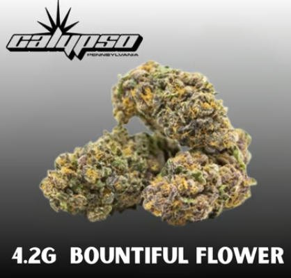 Photograph of product: Bountiful Zuper Gas Whole Flower 4.2g