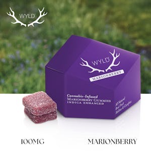 Photograph of product: Wyld Marionberry Gummies | Oui'd | 10 Pack 100mg TH-oui