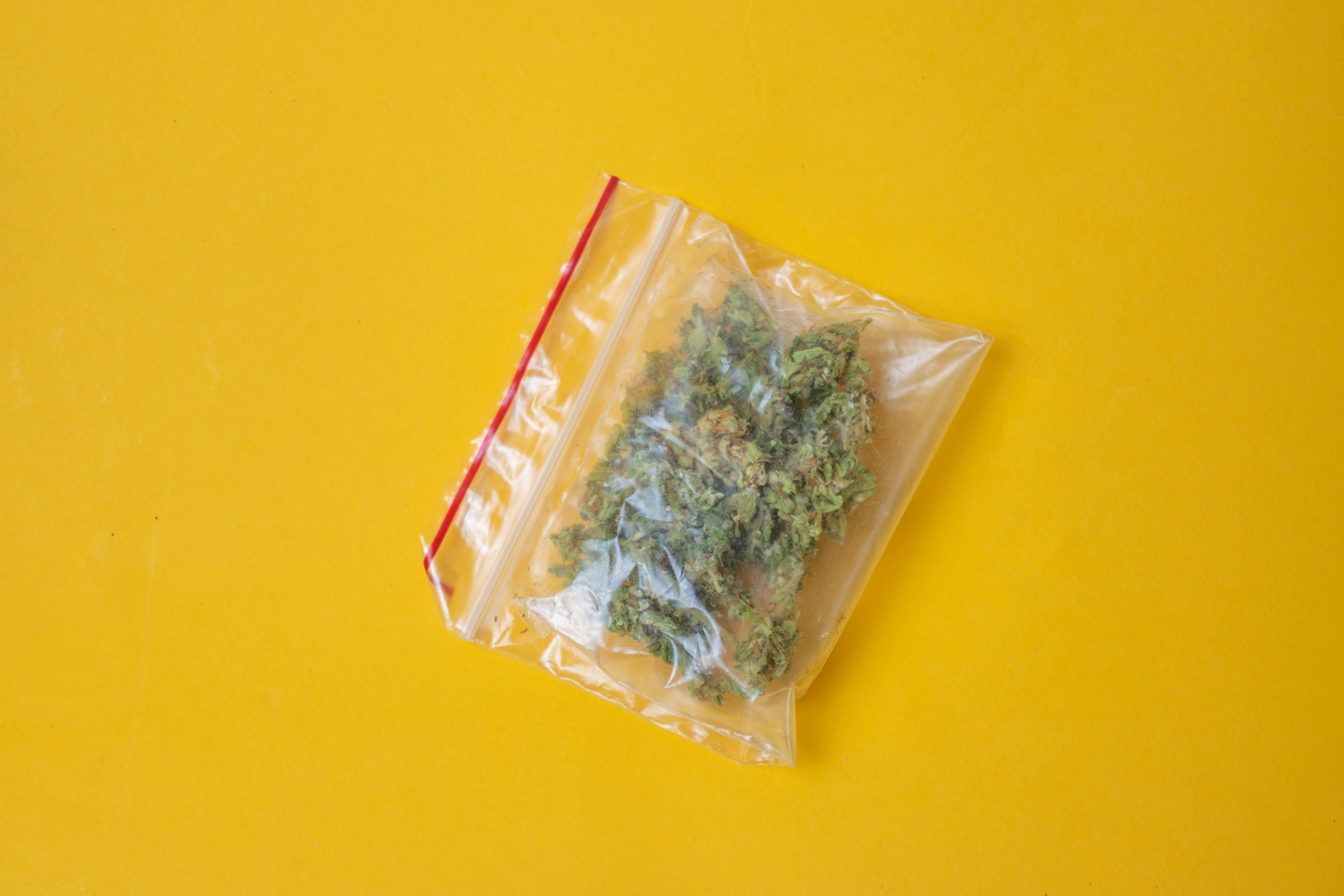 Photograph of product: Goodies Sherbanger 22 1g Flower