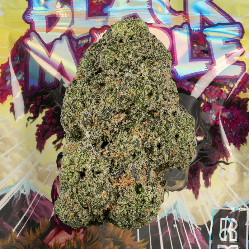 Photograph of product: Rkive | Black Maple Pre-Pack Flower - 3.5g