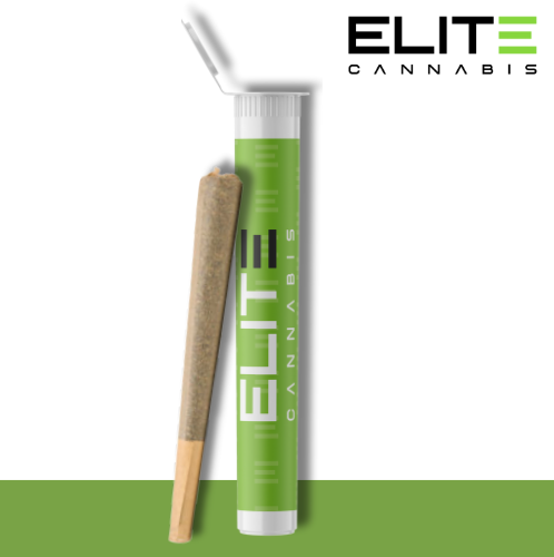 Photograph of product: Apple Fritter PreRoll