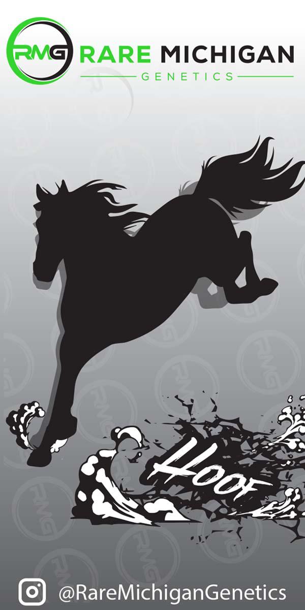 Photograph of product: RMG - Hoof - Pre-Roll - 1g