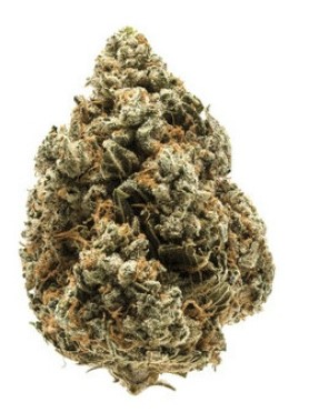 Photograph of Product: Flower SAT I Huckleberry #2 | Pot Zero - 3.5g