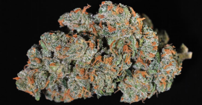 Photograph of product: Jack Herer Shake - 3.5g