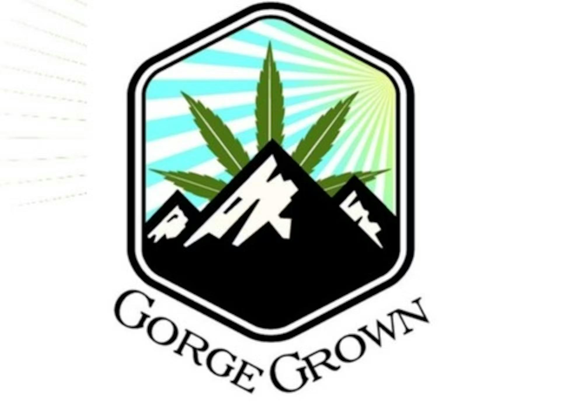 Photograph of product: Gorge Grown Lemon Space Cake 2g Sugar Sauce