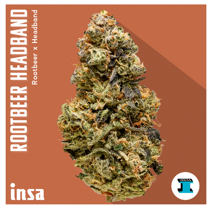 Photograph of product: Flower - Rootbeer Headband - 3.5g