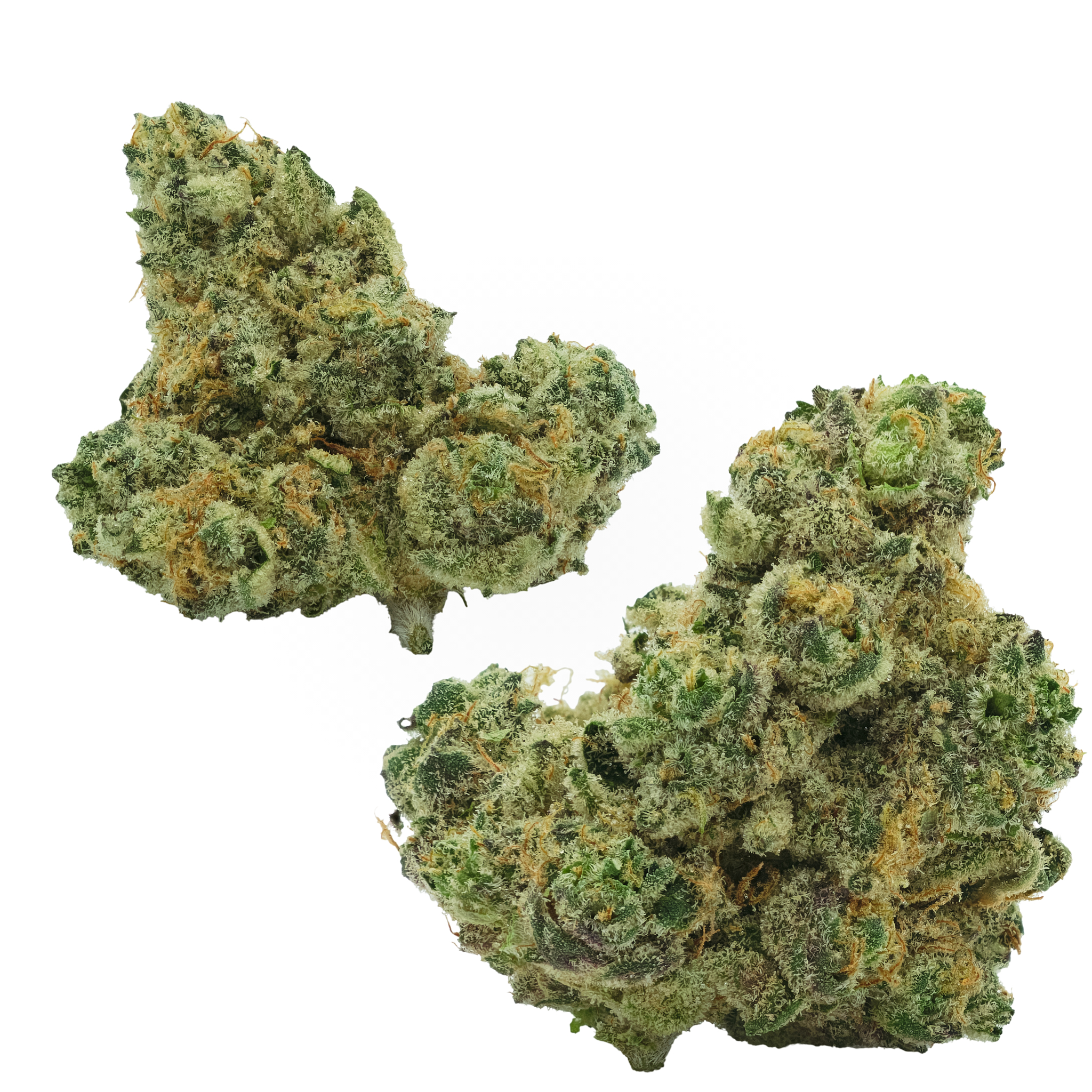 Photograph of product: GMO Sherb Crasher - 28g