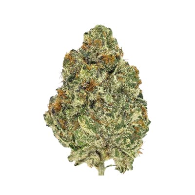 Photograph of product: Candy Pave | Popcorn - 