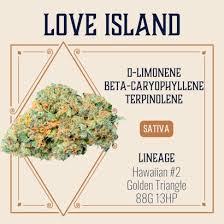 Photograph of product: Elevate | Love Island 3.5g