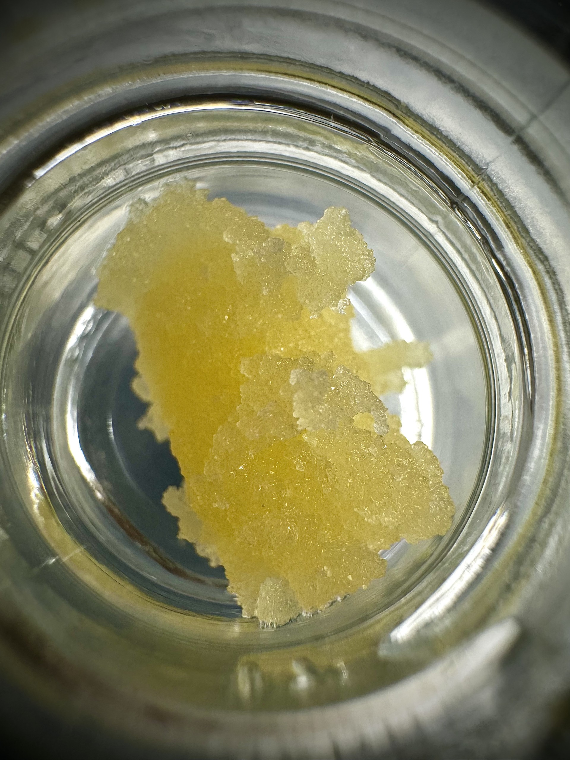 Photograph of product: Granddaddy Purple | Oui'd | Cured Resin - Badder