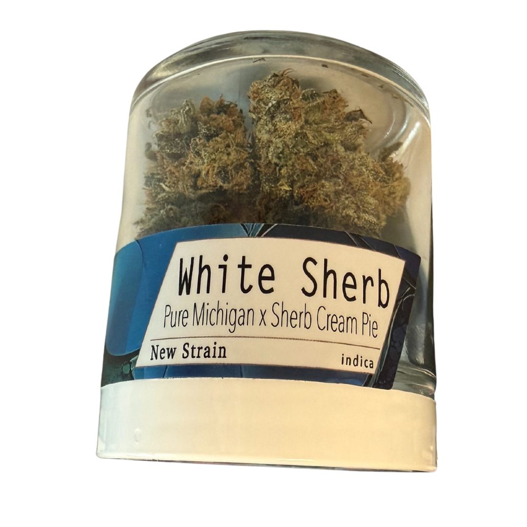 Photograph of product: Fifty Fold White Sherb #2 Flower Oui'd 3.5g