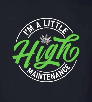 Photograph of product: High Main T-Shirt (M) - Black