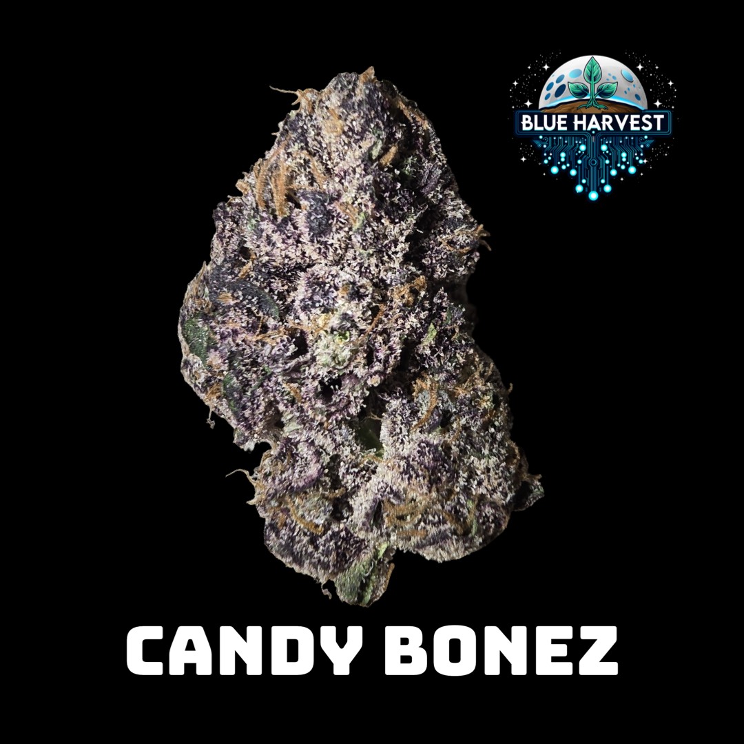 Photograph of product: Blue Harvest - Candy Bonez - Pre-Roll - 1g