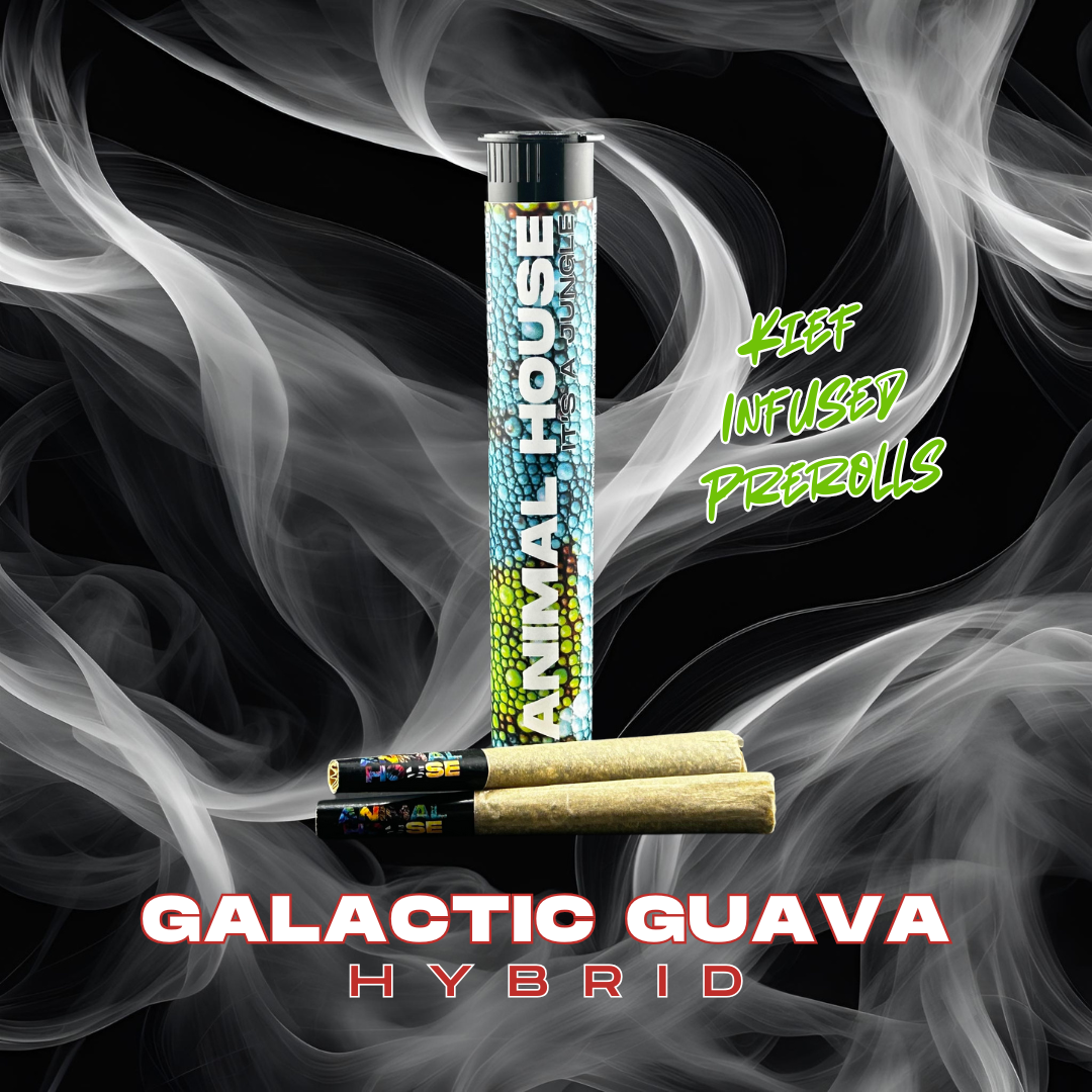Photograph of product: Animal House | Galactic Guava | Infused Pre-Rolls | 2ct | 1.5g