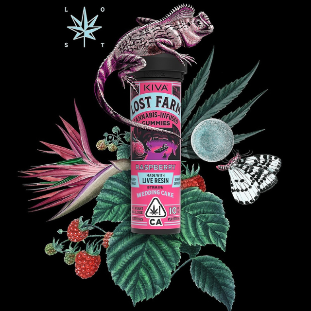 Photograph of product: 10CT- RASPBERRY- LIVE RESIN- GUMMIES