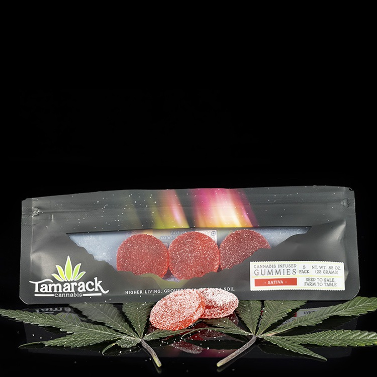 Photograph of product: Watermelon Day X Gummies