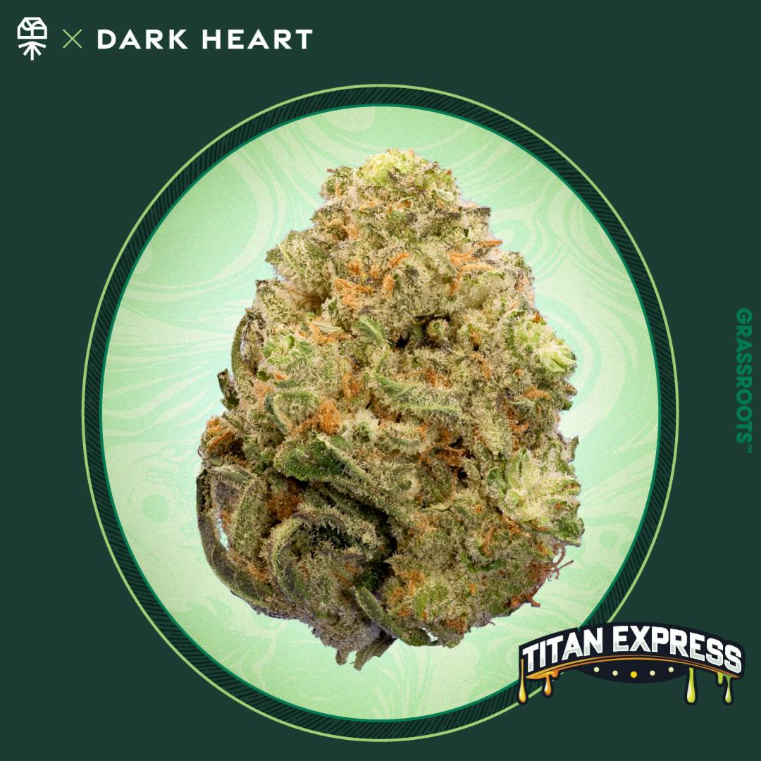 Photograph of product: TITAN EXPRESS | 7G | SMALLS