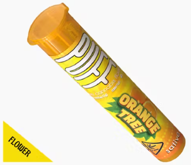 Photograph of product: 1G - Oui'd - ORANGE TREE
