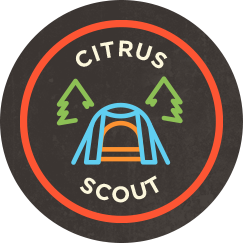 Photograph of product: Jar Co. - Citrus Scout - 3.5g